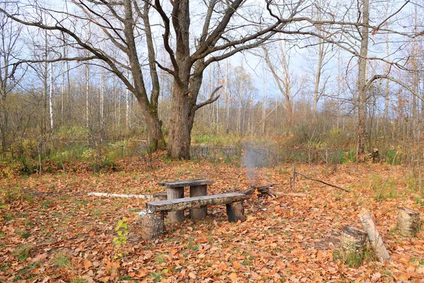 Aging bench in autumn park — Stock Photo, Image