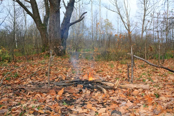 Small campfire amongst yellow sheet — Stock Photo, Image