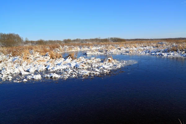 凍結沼に秋の氷 — ストック写真