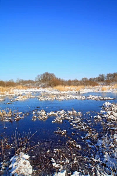 凍結沼に秋の氷 — ストック写真