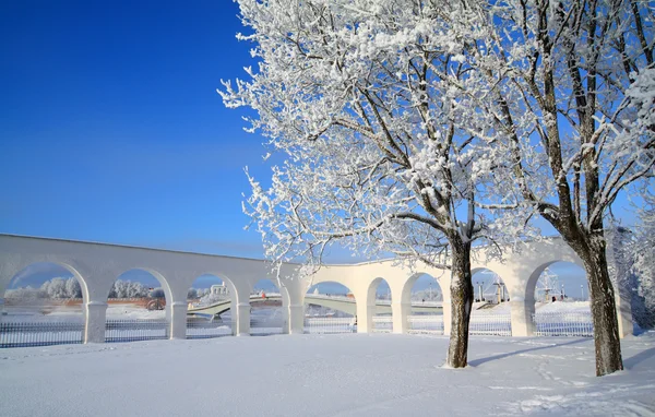 Снежное дерево у древней стены — стоковое фото