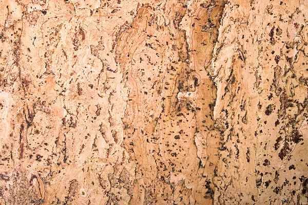 stock image Cork texture