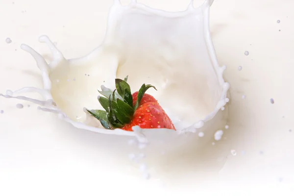 stock image Strawberry in Cream