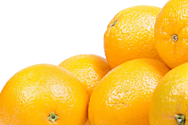 stock image Oranges