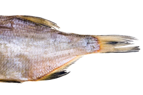 Sušené ryby — Stock fotografie