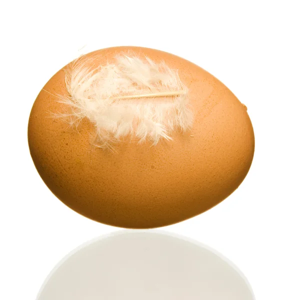 Egg with feather — Stock Photo, Image