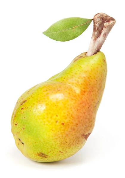 Pear with bone — Stock Photo, Image