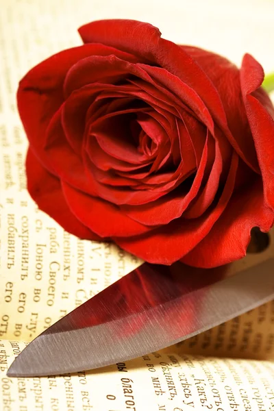 Rose on the book — Stock Photo, Image