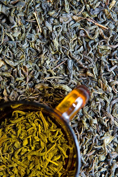 Cangkir dan tanaman teh — Stok Foto