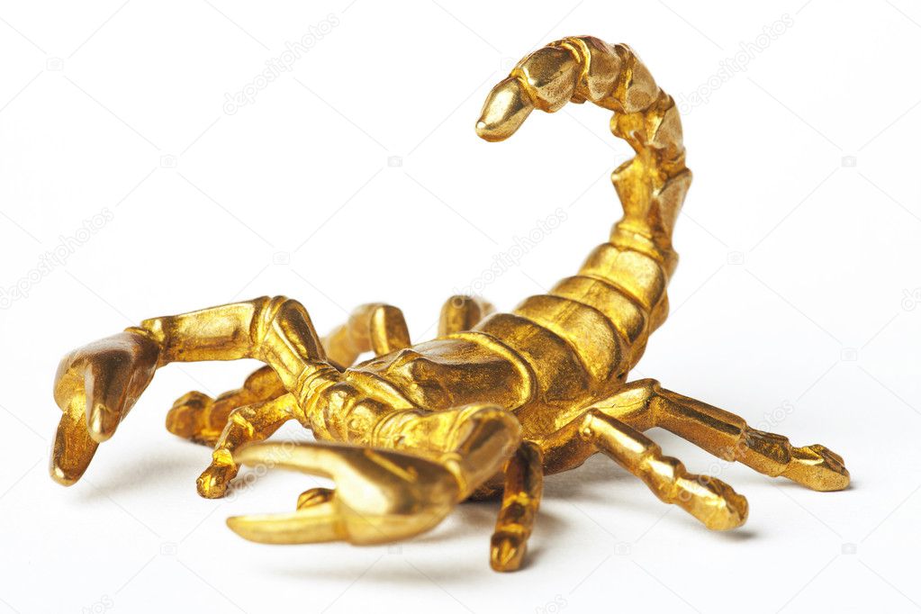 Gold scorpion