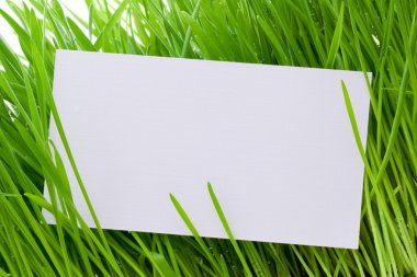 Cut-away to a grass clipart