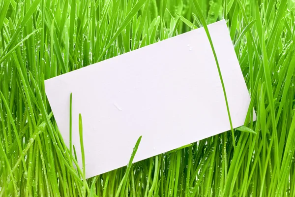 Schnitt in ein nasses Gras — Stockfoto