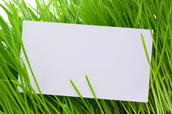 草をカット — ストック写真