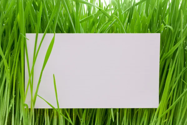 Cortado a una hierba —  Fotos de Stock