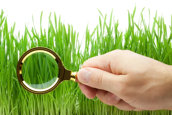 Magnifying glass in hand above green grass — Stock Photo, Image