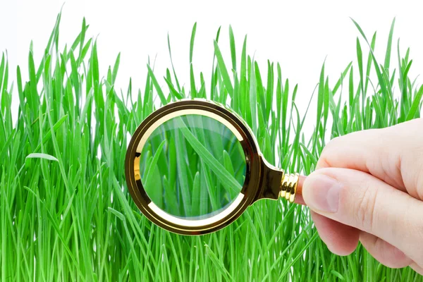Magnifying glass in hand above green grass — Stock Photo, Image