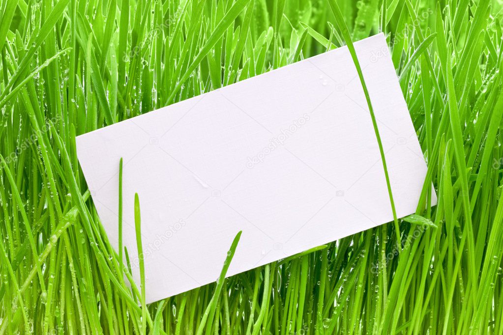 Cut-away to a wet grass