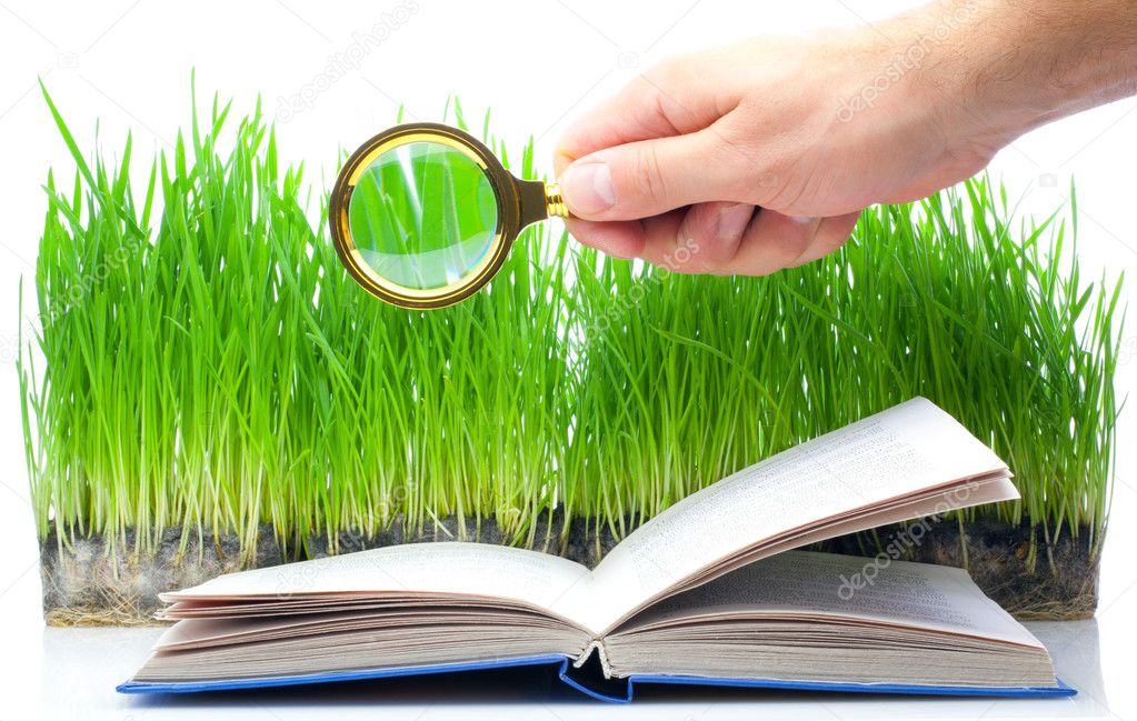 Magnifier and the book
