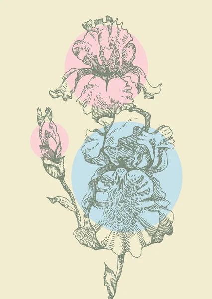 Floral achtergrond met iris — Stockvector