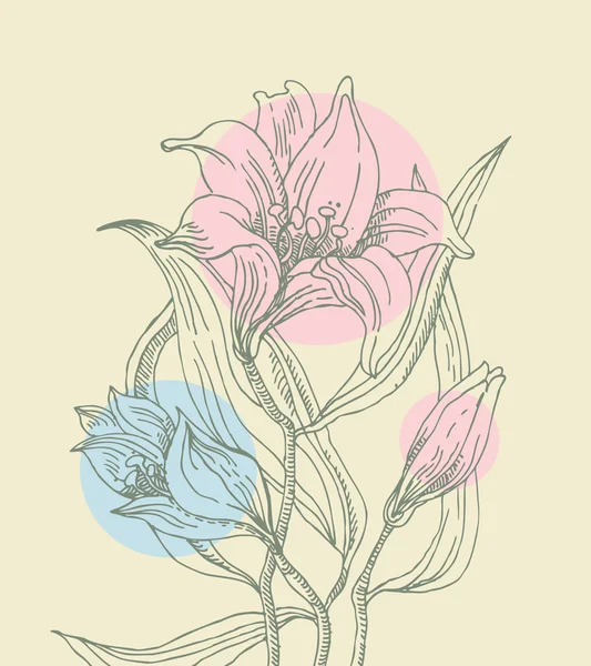 Floral achtergrond met lelies — Stockvector
