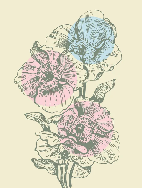 ケシの花の背景 — ストックベクタ