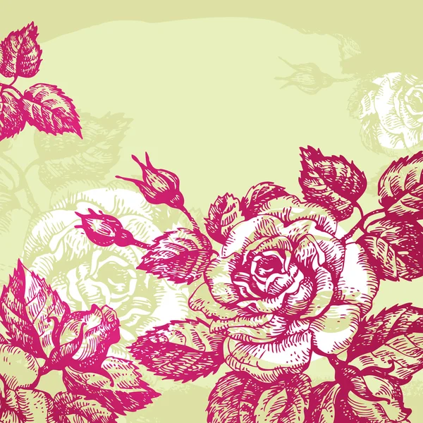 Bloemige achtergrond met rozen — Stockvector