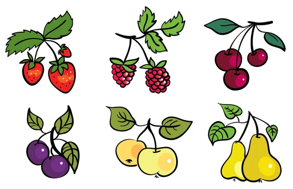 Gyümölcs- és bogyókészlet — Stock Vector