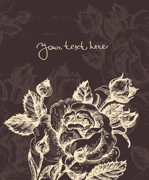 Fond floral avec rose — Image vectorielle