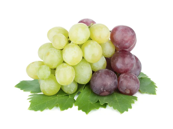 Witte en rode druiven — Stockfoto