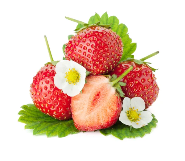 Erdbeerfrüchte mit Blüten und Blättern — Stockfoto
