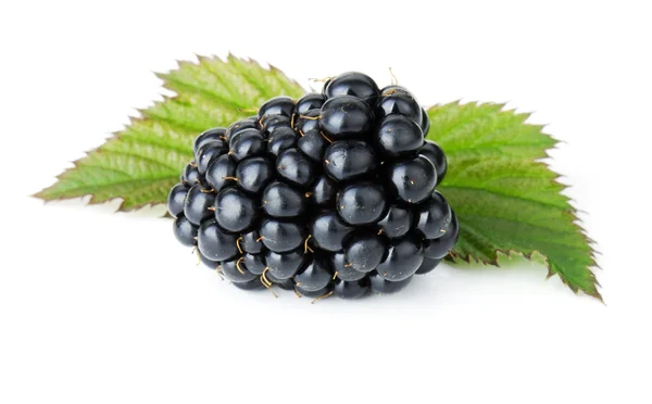 Ripe blackberry fruit Stock Photo