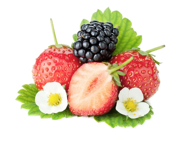草莓和黑莓水果 — 图库照片
