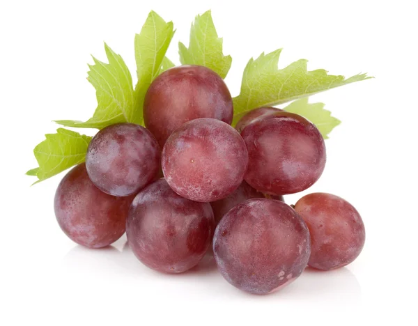Uvas vermelhas maduras frescas — Fotografia de Stock