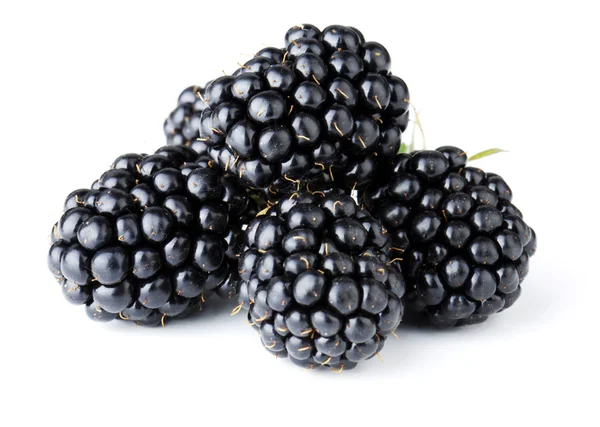 Ripe blackberry fruits — Stock Photo, Image