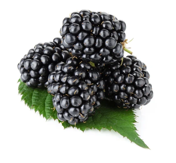 成熟的黑莓水果 — 图库照片