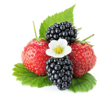 Strawberry and blackberry fruits clipart