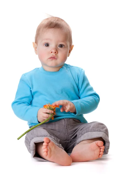Pequeño bebé tocando flor naranja —  Fotos de Stock