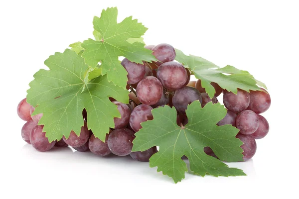 Rode druiven met bladeren — Stockfoto