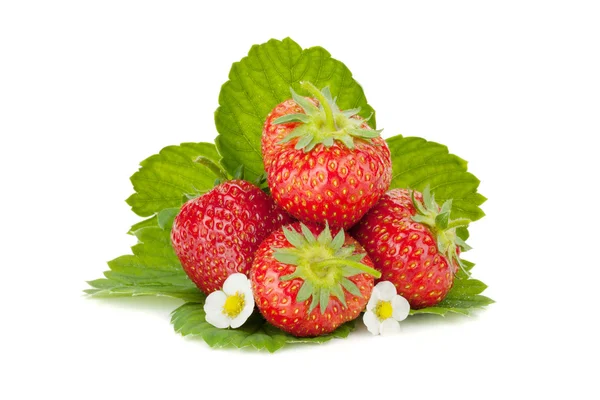 Strawberry fruits with flowers and green leaves — Stock Photo, Image