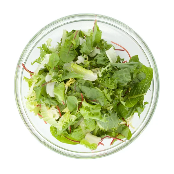 健康的绿色沙拉 — 图库照片