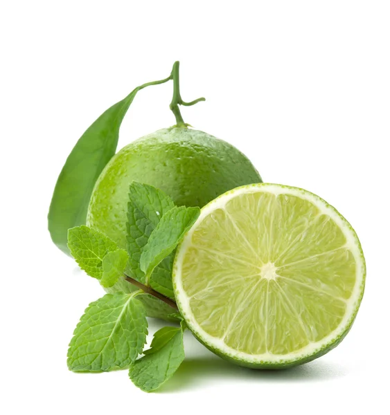 Ripe lime and mint — Stock Photo, Image