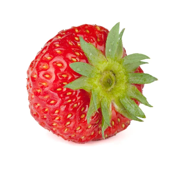 草莓果 — 图库照片