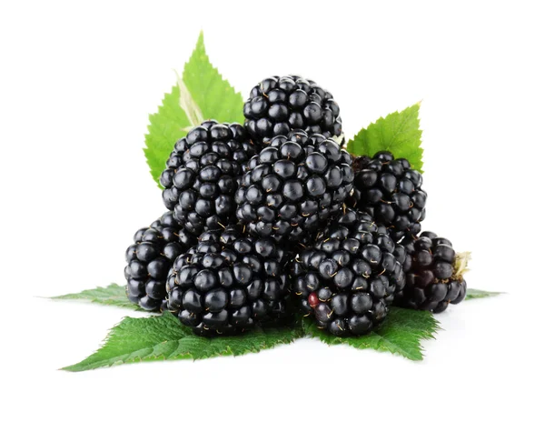 Blackberry стиглі плоди — стокове фото
