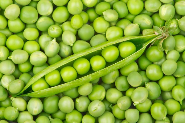 stock image Fresh green pea pod on a pea grains pile