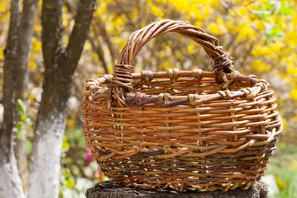 Old wicker basket in an autumn garden — Stock Photo, Image