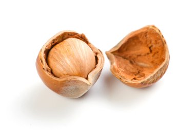 Filbert nut clipart