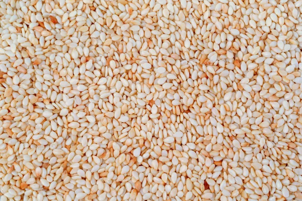 Семена кунжута — стоковое фото