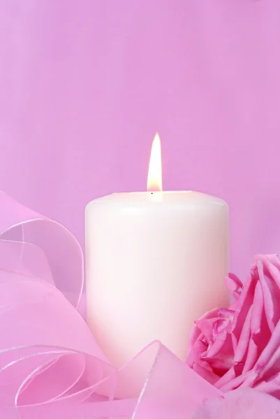 Ljus och rose på rosa bakgrund — Stockfoto