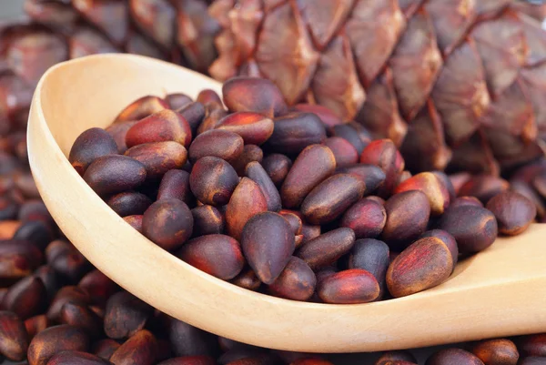 Сосна и кедровые орехи — стоковое фото