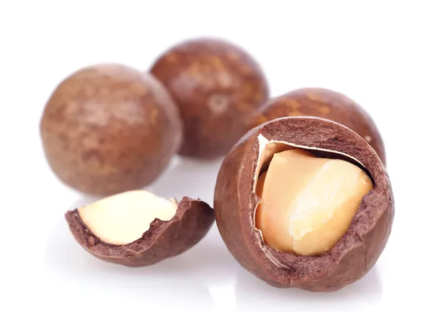 Macadamia-Nüsse auf weißem Hintergrund lizenzfreie Stockfotos